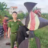 Hải Phòng thu giữ diều sáo bay tầm cao, ảnh hưởng an toàn hàng không