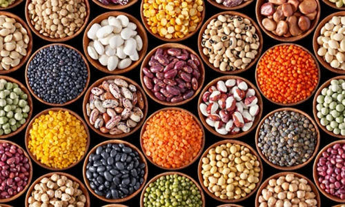 8 nguồn cung cấp protein cho người ăn chay