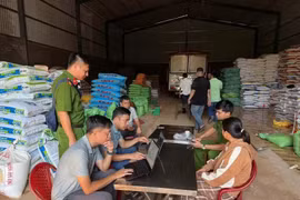 Bến gạo rẻ tiền thành “Gạo dẻo Thái Sơn”, chủ cửa hàng ở Gia Lai bị khởi tố