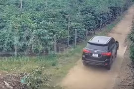 Tài xế gây tai nạn nghiêm trọng ở Gia Lai đã ra đầu thú