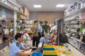 Khởi tố đối tượng ở Gia Lai bán gần 750 đôi dép giả nhãn hiệu CROCS