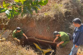 Truy tìm nguồn gốc tấm gỗ che giấu xe máy vụ cướp ngân hàng ở Gia Lai