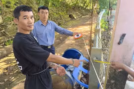 Bắt đối tượng trộm cắp dây điện ngầm trong công viên ở Gia Lai 