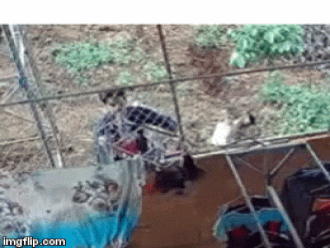  3. Người đàn ông lạ trộm đồ lót phụ nữ: Ngày 2/10/2019, trên mạng xã hội có đăng tải một clip với nội dung, một người đàn ông lạ mặt đã trộm đồ lót phụ nữ, xảy ra ở xã Phú Văn, H.Bù Gia Mập, Bình Phước. Sự việc sau đó được chia sẻ trên mạng xã hội facebook.