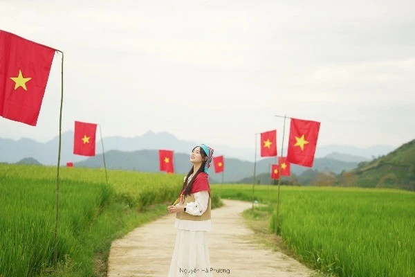 Đồng lúa bạt ngàn nhuộm cờ đỏ sao vàng, điểm sống ảo mới gần Hà Nội