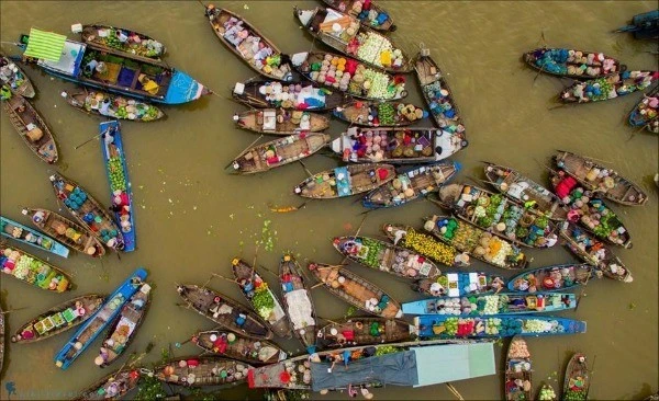 Đi chợ nổi Cái Răng nên đi tour sáng sớm hay tour ăn trưa?