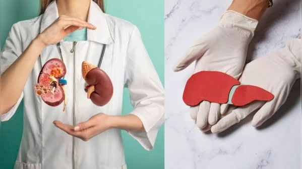 5 loại trái cây 'vàng' giúp gan thận khỏe mạnh
