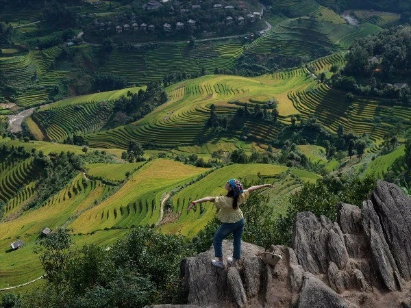 Thưởng ngoạn mùa vàng rực rỡ trên 'sống lưng khủng long' Púng Luông