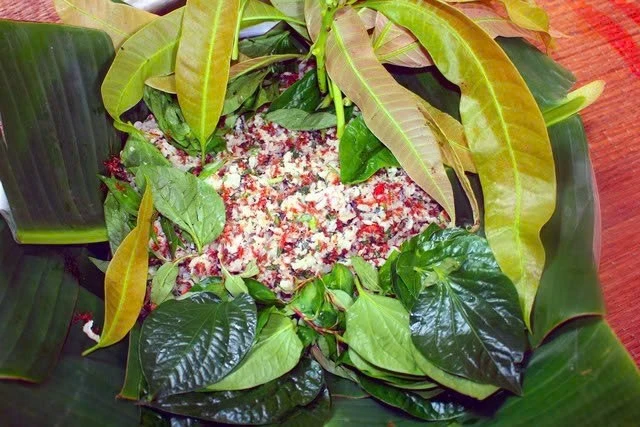 Về làng Rơ Măm Kon Tum ăn cá gỏi kiến vàng “lộc rừng”