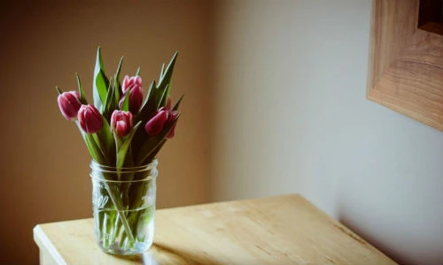 Sử dụng cây cảnh thế này, coi chừng vợ chồng tan đàn xẻ nghé