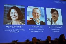 Hành trình đến giải Nobel Y sinh 2025, mở cánh cửa mới về miễn dịch học