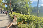 [GALLERY] Giới trẻ đổ về hồ Gươm bắt trọn khoảnh khắc thu bên dải cẩm tú cầu