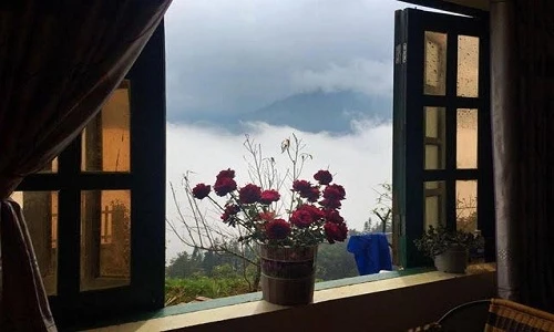 Đến Sa Pa, ở homestay mở cửa là thấy cả một biển mây
