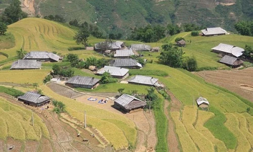 Vẻ đẹp khó cưỡng của ruộng bậc thang ở Hoàng Su Phì
