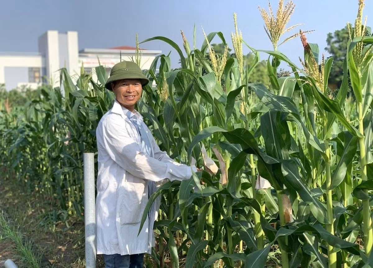 anh-tuan.jpg