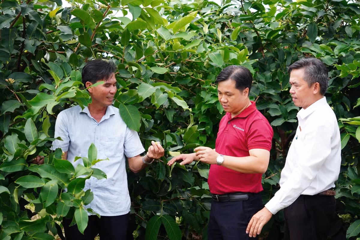 tranvanphuc-2.jpg