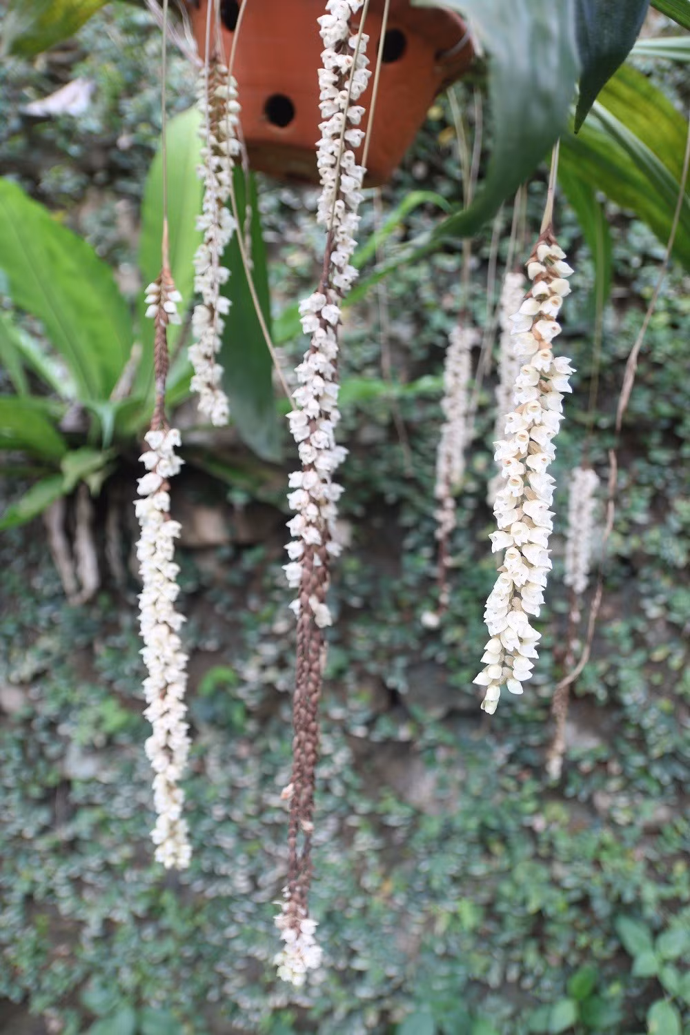 Gallery - VUSTA tăng cường kết nối thực tiễn, thúc đẩy hợp tác bảo tồn đa dạng sinh học - image 10