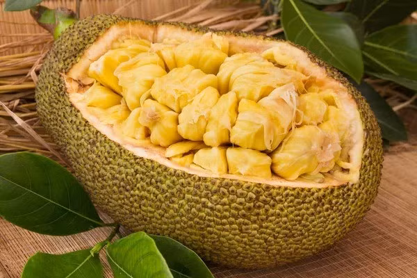 Hiện nay có nhiều giống mít được trồng phổ biến như mít Thái, mít tố nữ, mít nghệ, mít không hạt… Mỗi giống sẽ có hương vị và thời gian thu hoạch khác nhau, tuy nhiên mít Thái và mít tố nữ được ưa chuộng hơn cả nhờ trái to, thơm và ít xơ.