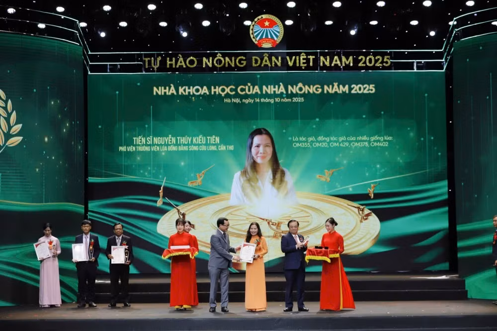kieu-tien-1000.jpg