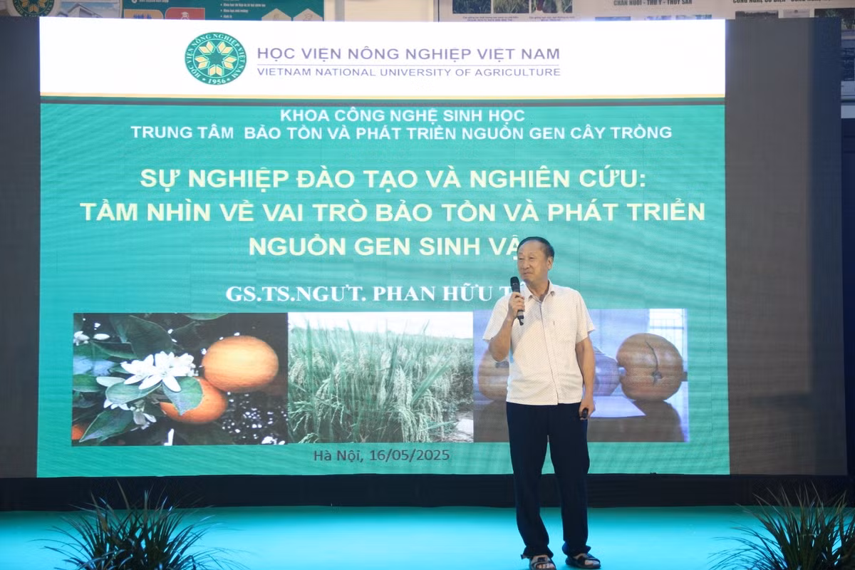 ong-ton.jpg