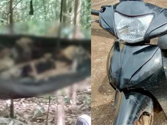Video: Vụ 2 bộ xương khô trong rừng: Tìm thấy xe máy nghi của nạn nhân