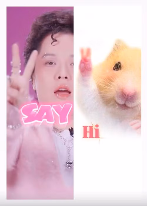 Hình ảnh hài hước của Tiên Tiên khiến fan cười nghiêng ngả. Ảnh: FB Tiên Tiên.