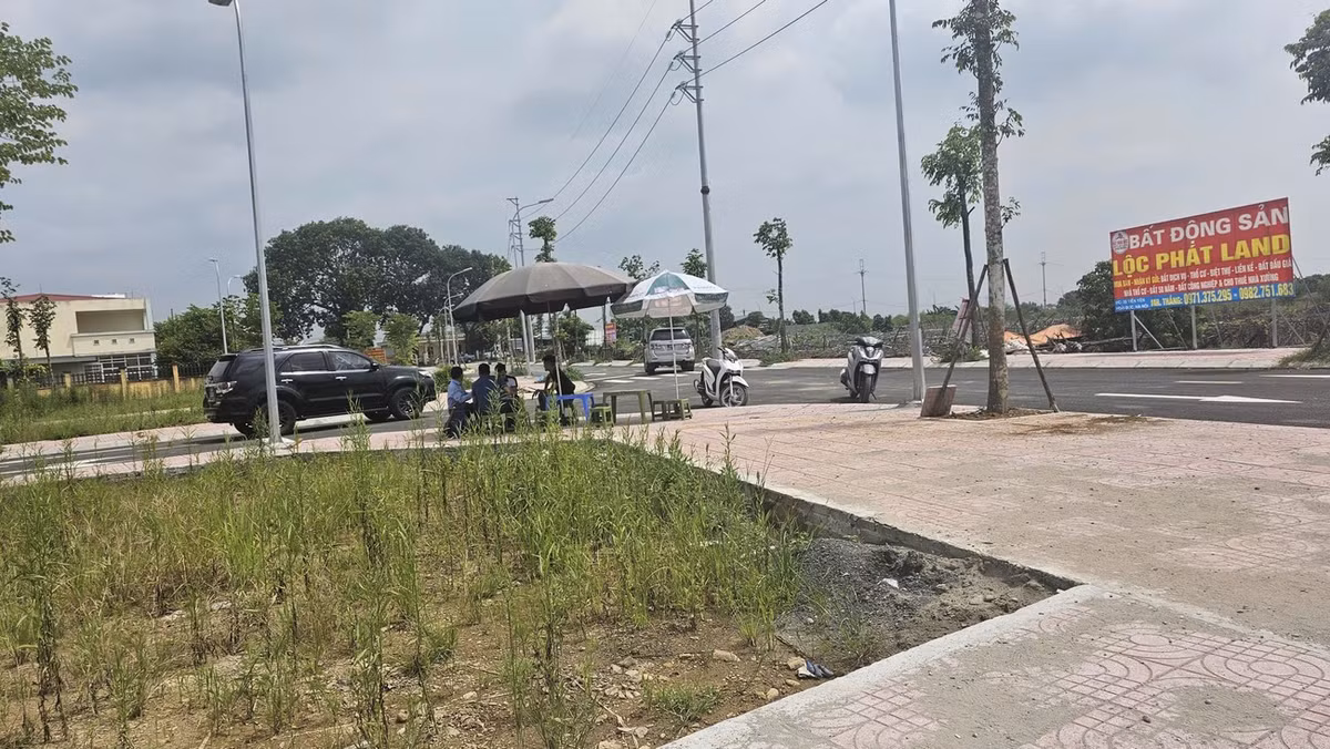 Giá đất bị đẩy lên cao tại nhiều phiên đấu giá ở Hà Nội Ảnh: Phan Thiên