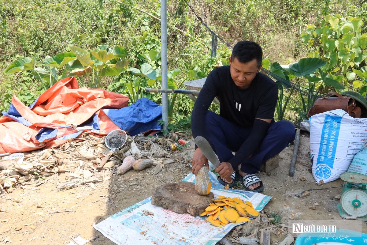 nguoiduatin1.jpg