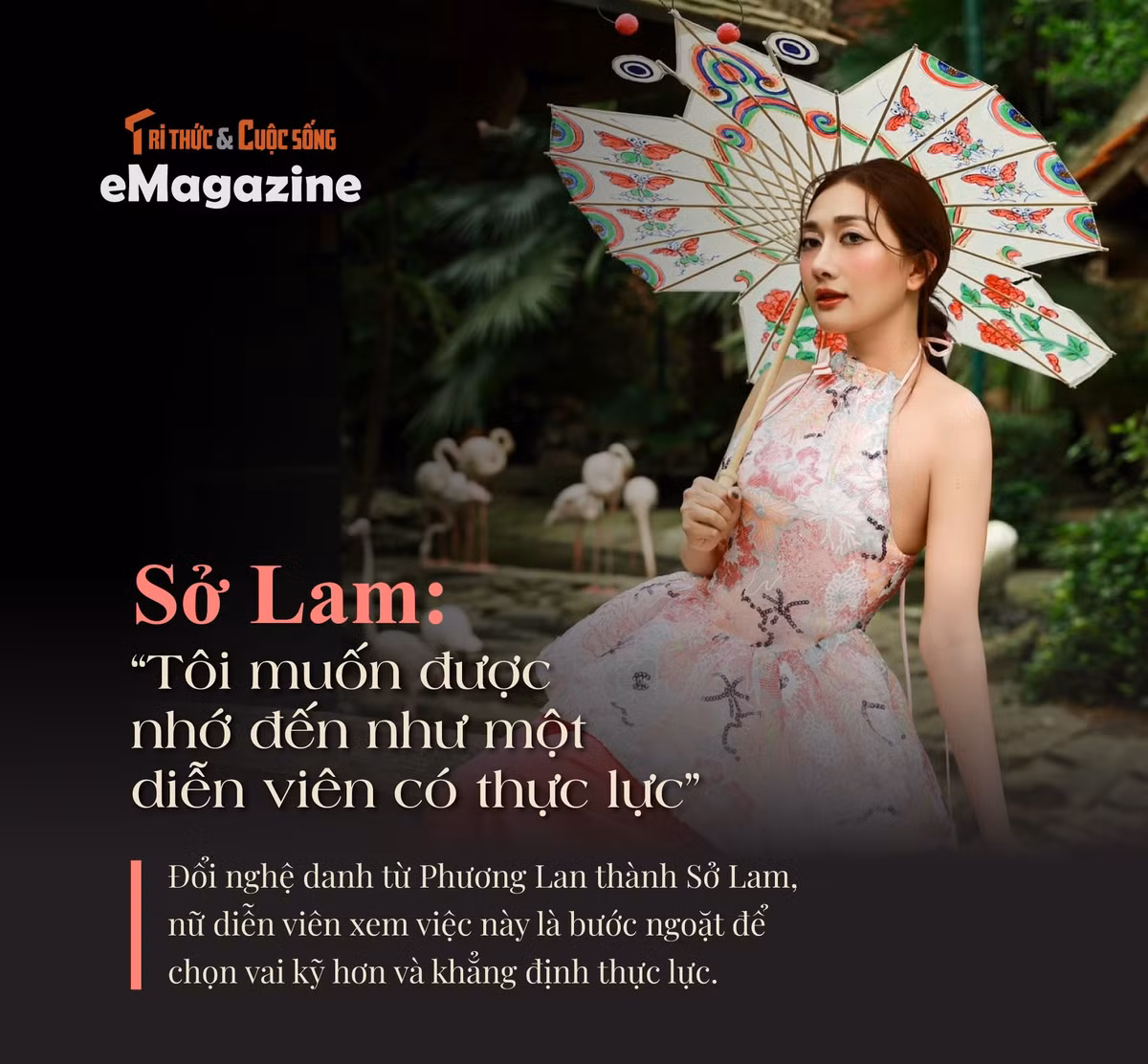 so-lam-1.jpg