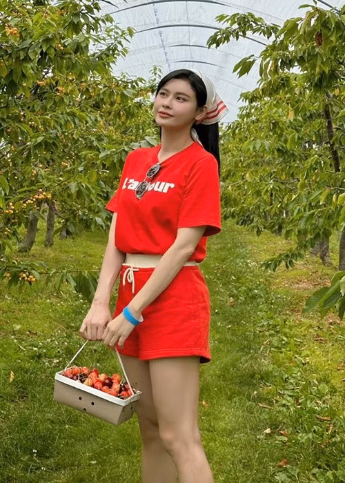Trên trang cá nhân, Trương Quỳnh Anh đăng loạt ảnh đi hái cherry cùng gia đình ở Mỹ. Nữ ca sĩ diện set đồ thể thao, được khen trẻ trung như nữ sinh. Ảnh: FB Trương Quỳnh Anh.