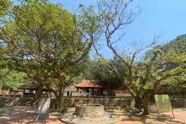 Đầu xuân khám phá Chùa Song Ngư giữa biển khơi xứ Nghệ