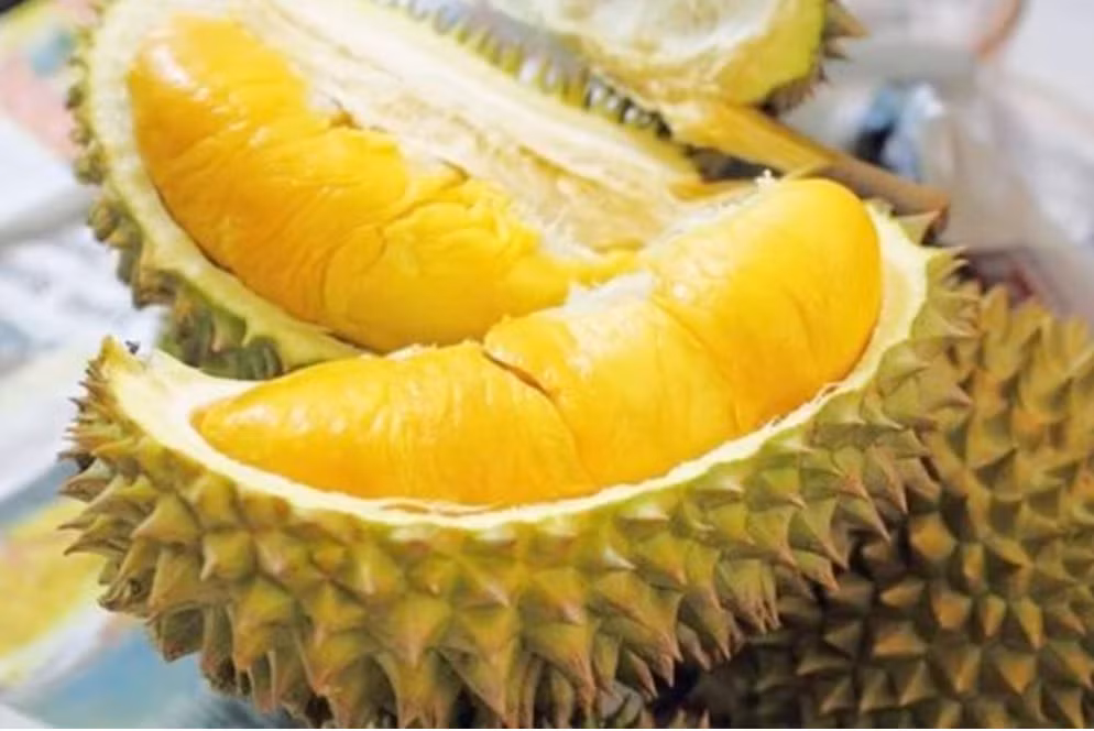 Sầu riêng được mệnh danh là “vua trái cây” bởi hương vị béo ngậy, thơm lừng cùng giá trị dinh dưỡng cao. Tuy nhiên, mùi hương nồng nàn của sầu riêng lại là “rào cản” khiến nhiều người e dè.