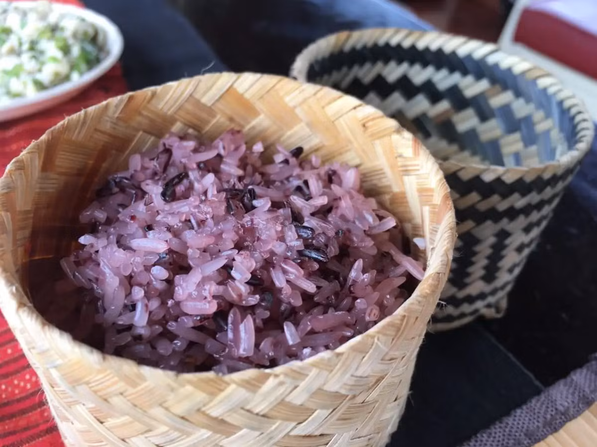 Xôi tím là một trong những đặc sản Lai Châu. Xôi sử dụng nguyên liệu từ gạo nếp nương hạt to, màu tím của xôi thì được nhuộm từ cây khẩu cắm. Xôi khi chín ra cho hương vị thơm, màu tím tươi, hạt xôi chín đều, ăn vào dẻo mà không dính. Ảnh: Shutterstock