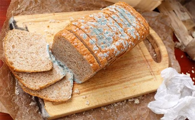 Đồ ăn bị mốc chứa aflatoxin, một chất cực độc có thể gây ung thư gan. Do đó, cần loại bỏ ngay bất kỳ thực phẩm nào có dấu hiệu nấm mốc, dù chỉ là một phần nhỏ. Ảnh: Dân Việt
