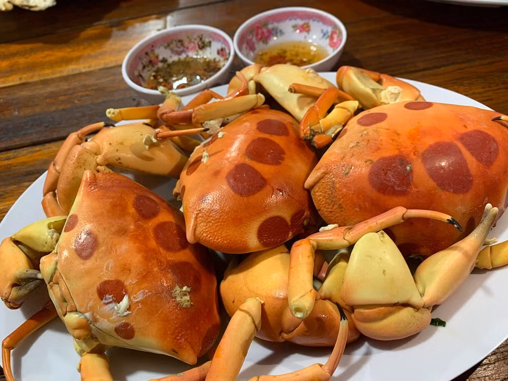 Cua mặt trăng được xem là món đặc sản Phú Quý hiếm có. Cua mặt trăng ngon nhất khi đem hấp hoặc nướng và chấm cùng với muối tiêu chanh.