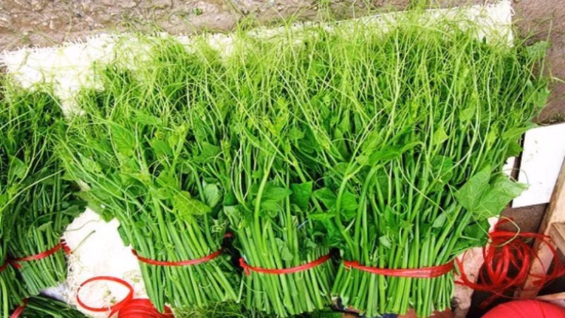 Nhắc đến đặc sản Tam Đảo, không thể nào bỏ qua món ngọn su su. Được thiên nhiên ưu ái ban tặng khí hậu mát mẻ quanh năm, su su Tam Đảo sở hữu hương vị ngọt thanh, giòn giòn khi thưởng thức. Du khách có thể chế biến ngọn su su thành nhiều món ăn hấp dẫn như luộc chấm muối vừng, xào tỏi, nấu canh,...