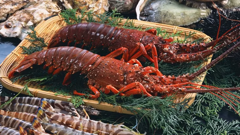  Côn Đảo nổi tiếng với những loại hải sản tươi sống. Một trong số đó chính là tôm hùm đỏ. Tôm hùm đỏ giá cả đắt đỏ và có thể chế biến được rất nhiều món ăn ngon như nướng, hấp, gỏi,...