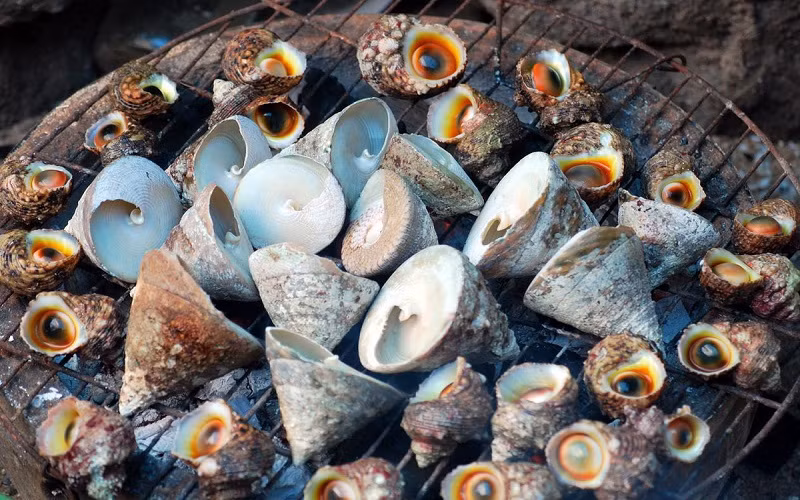 Một loại hải sản đặc biệt nữa ở Côn Đảo thích hợp để bạn mua về làm quà biếu cho người thân đó chính là ốc vú nàng. Đây là một loại hải sản rất hiếm ở Côn Đảo. Loại ốc này có thể chế biến được rất nhiều món ăn ngon như nướng, luộc, xào hay làm gỏi đều rất tuyệt vời.