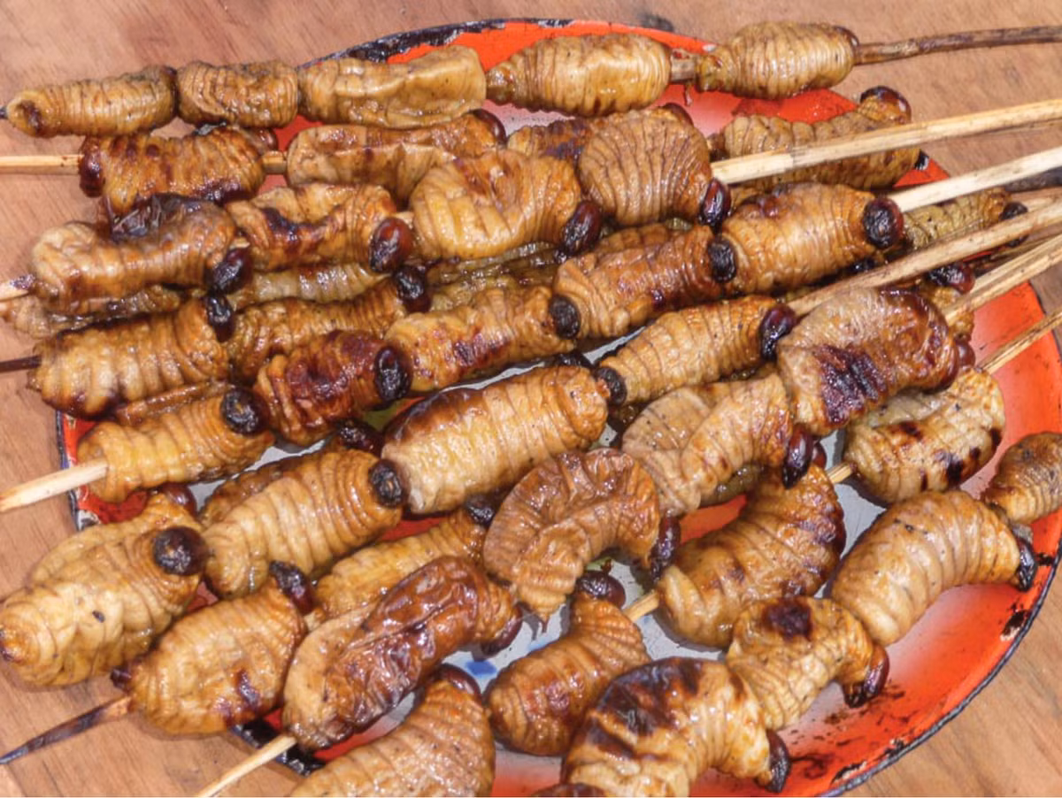 Đuông dừa có thể được nướng, luộc, xào hoặc thậm chí là ăn sống. Vị béo bùi, thơm ngon của đuông dừa khiến nhiều thực khách sành ăn say mê. Tuy nhiên, hình ảnh đuông dừa ngọ nguậy trong quả dừa có thể khiến nhiều người e dè.
