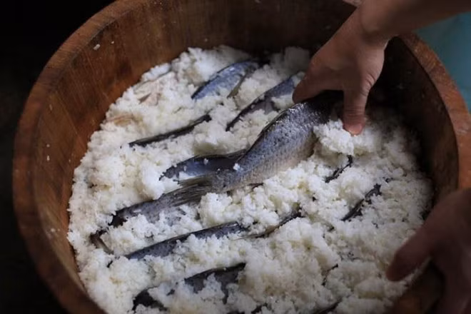 Quá trình chế biến Funazushi khá phức tạp và tốn thời gian. Thành phần chính của món ăn này gồm có cá tươi, muối biển và gạo được lên men. Cá tươi được đánh bắt ở hồ nước ngọt tự nhiên Biwa rộng lớn, sản lượng đánh bắt cá nơi đây hàng năm rất lớn. Ảnh: Dân Việt