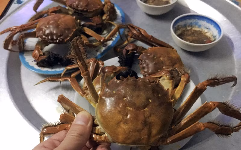 Một đặc sản Bắc Giang mà du khách chắc chắn phải thử đó là các món từ cua da. Đây là một loài cua sinh sống trong các vùng ghềnh đá cạnh sông Cầu. Loại cua quý hiếm với gạch đầy, thịt chắc, ngọt, được chế biến thành nhiều món ăn ngon như cua rang muối, cua hấp, lẩu cua,…