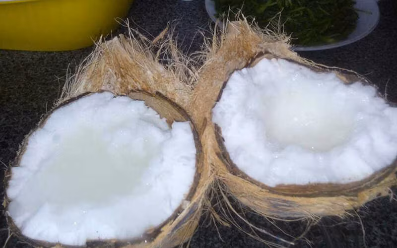 Trà Vinh nổi tiếng là vùng đất dừa sáp bậc nhất, nên đây là một trong những món đặc sản Trà Vinh không thể bỏ qua khi du khách đến đây. Ảnh: Bách hoá Xanh