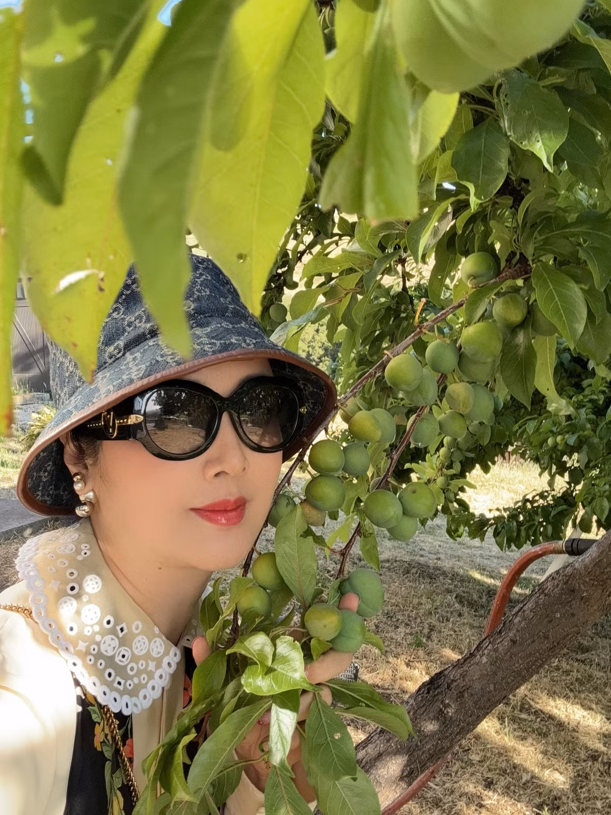 Đến thăm nhà bạn trên đồi, Hoa hậu Giáng My mê mẩn cây mận.