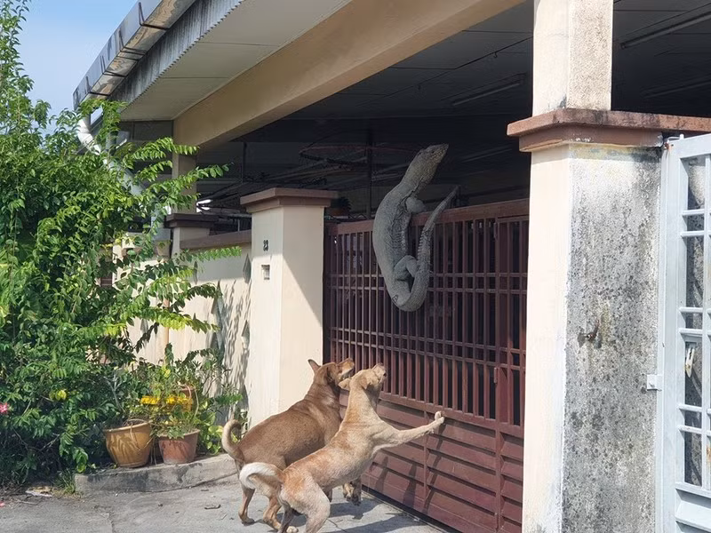 Vừa ra đến ngoài, anh Hunt Han phát hiện, bên ngoài nhà có một con "quái vật" đang trèo lên cửa sắt, ý đồ xâm nhập vào nhà. Phía dưới là hai chú chó cưng đang sủa vang, có ý định muốn kéo con quái thú xuống.