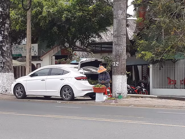 Chị bán hàng rong này đã sử dụng cốp sau của chiếc xe để chở cam, thêm cái rổ to để trên xô úp ngược và chiếc cân nhỏ để cạnh gốc cây, cô ấy đã có một sạp cam nhỏ bán lề đường khiến ai cũng nhìn theo.