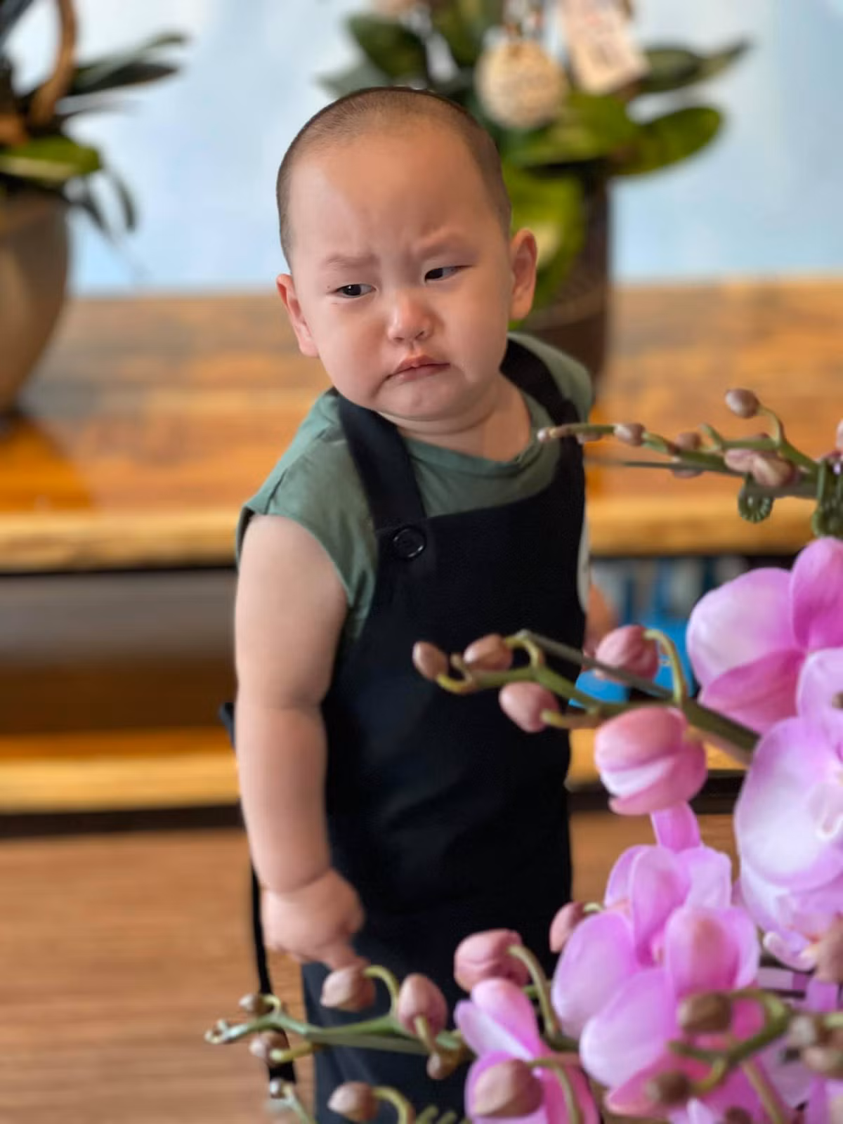Hayden là con trai út của Trà My Idol và doanh nhân Tô Văn Đức. Cậu bé chào đời vào tháng 4/2019, tới nay sắp tròn 2 tuổi.