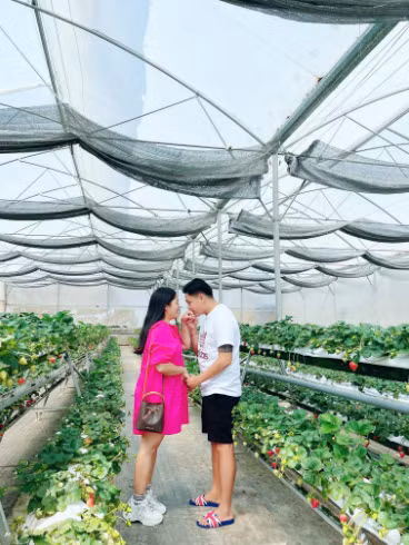 Đến hiện tại, 2 vợ chồng Tấn Lợi vẫn đang kinh doanh online, không còn ồn ào trong giới showbiz như thời gian trước đây. Ảnh: Tổng hợp