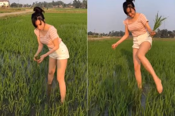 Trước đó, Bà Tưng cũng gây chú ý mạng xã hội khi khoe clip đi dặm lúa. Đi làm đồng nhưng cô nàng lại diện một chiếc áo khoét rộng cổ nên nhanh chóng nhận nhiều tranh cãi.