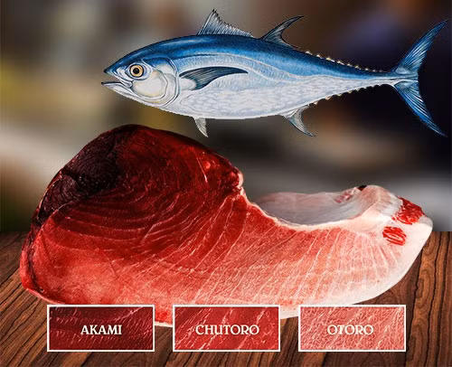Được coi là món ăn "quốc hồn quốc túy" của người Nhật Bản, được hàng triệu thực khách muốn thử một lần trong đời nhưng sushi cá ngừ cũng gây nhiều tranh cãi trên thế giới.
