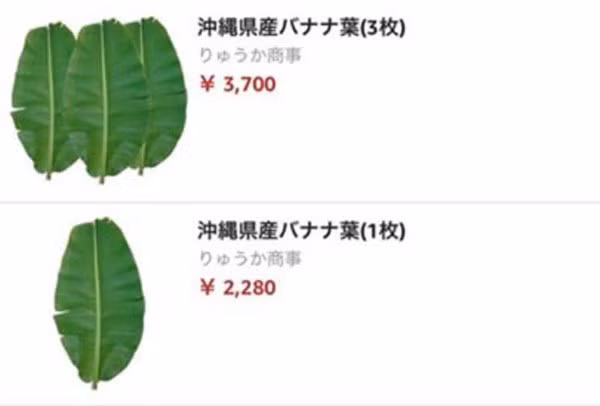 Không chỉ thân chuối, lá chuối của Việt Nam được trang Amazon Nhật Bản bán gần 500.000 đồng/lá, trong khi ở Việt Nam lá chuối chỉ khoảng 4.000-5.000 đồng/kg, đa phần là bỏ đi. Ảnh: Amazon.